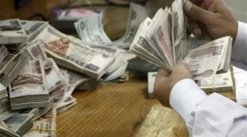 بشري سارة للموظفين.. موعد صرف مرتبات شهر يناير بعد قرار وزارة المالية الأخير